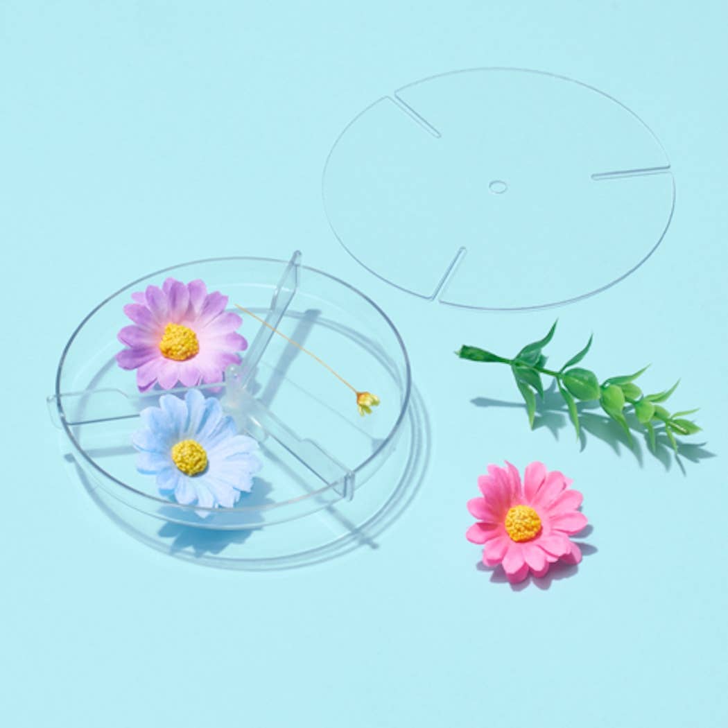 Nature Kaleidoscope Set with clear discs and colorful artificial flowers for DIY kaleidoscope patterns