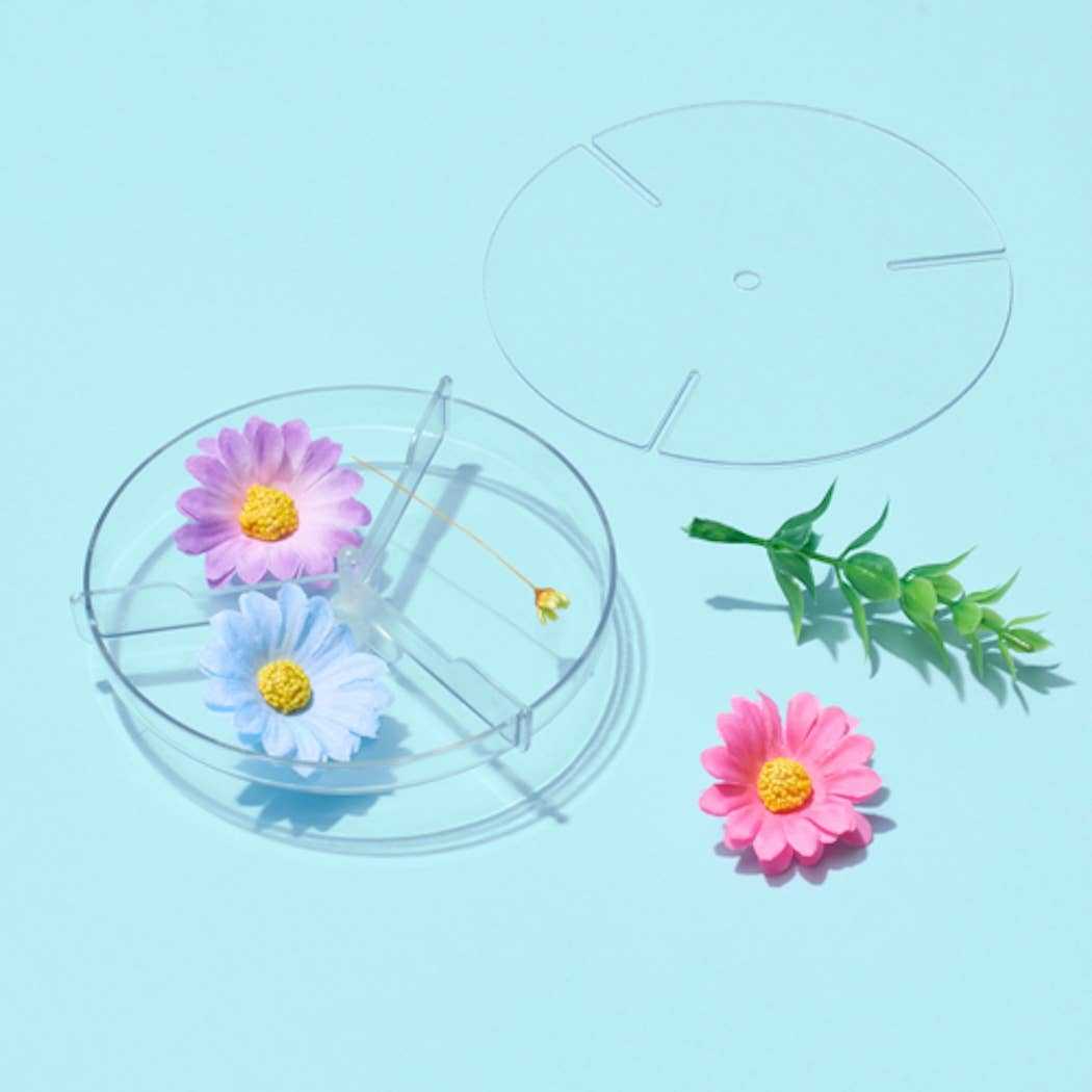 Nature Kaleidoscope Set with clear discs and colorful artificial flowers for DIY kaleidoscope patterns