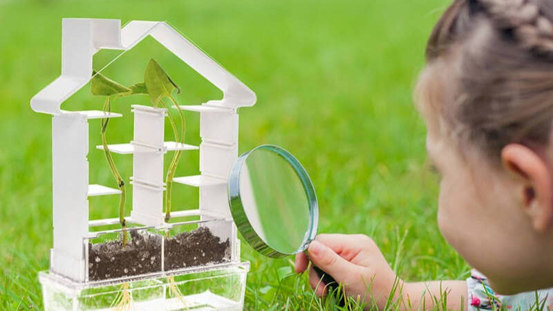 Child observing plant growth with magnifying glass in Plant Maze botany set greenhouse outdoors