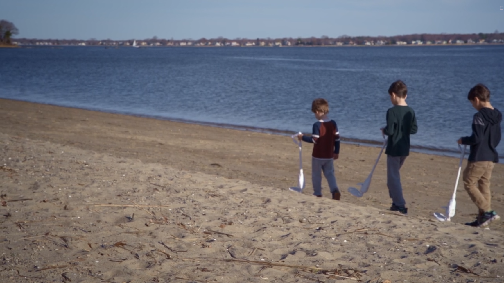 The Metal Detector