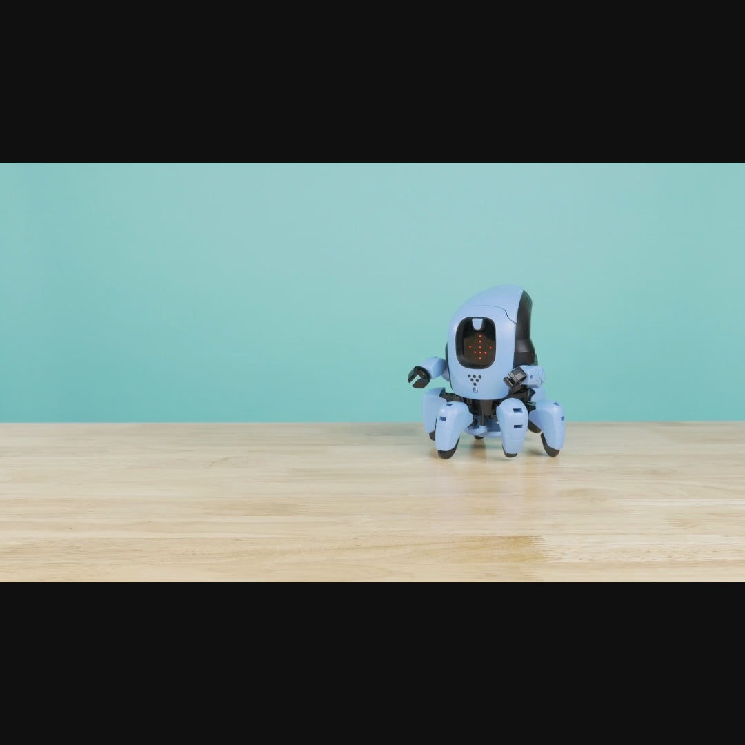 KAI: The Artificial Intelligence Robot