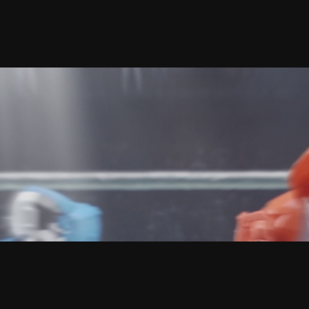 Hydraulic Boxing Bots