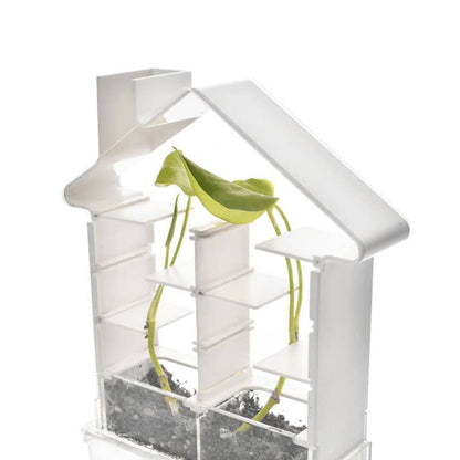 Botany kit with greenhouse and plant maze for observing plant growth and phototropism.