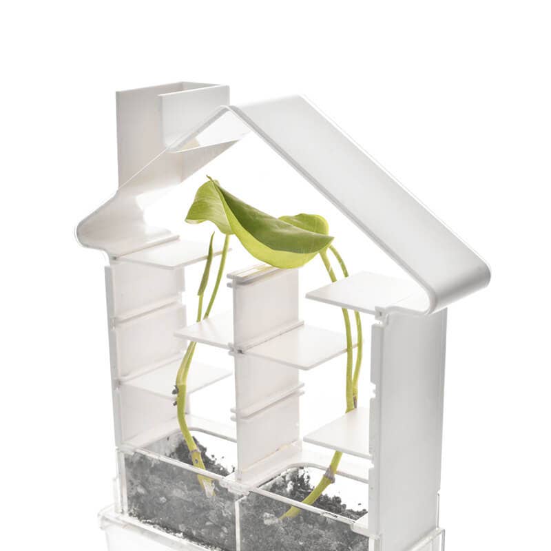 Botany kit with greenhouse and plant maze for observing plant growth and phototropism.