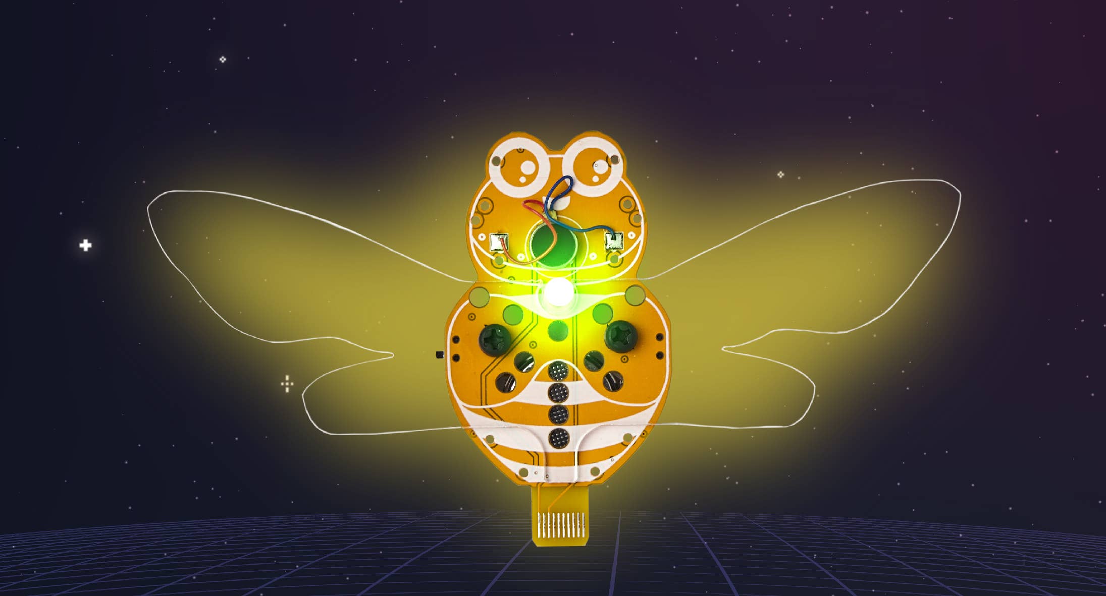 Wacky Robot Mr. Bee - DIY Mini Robot