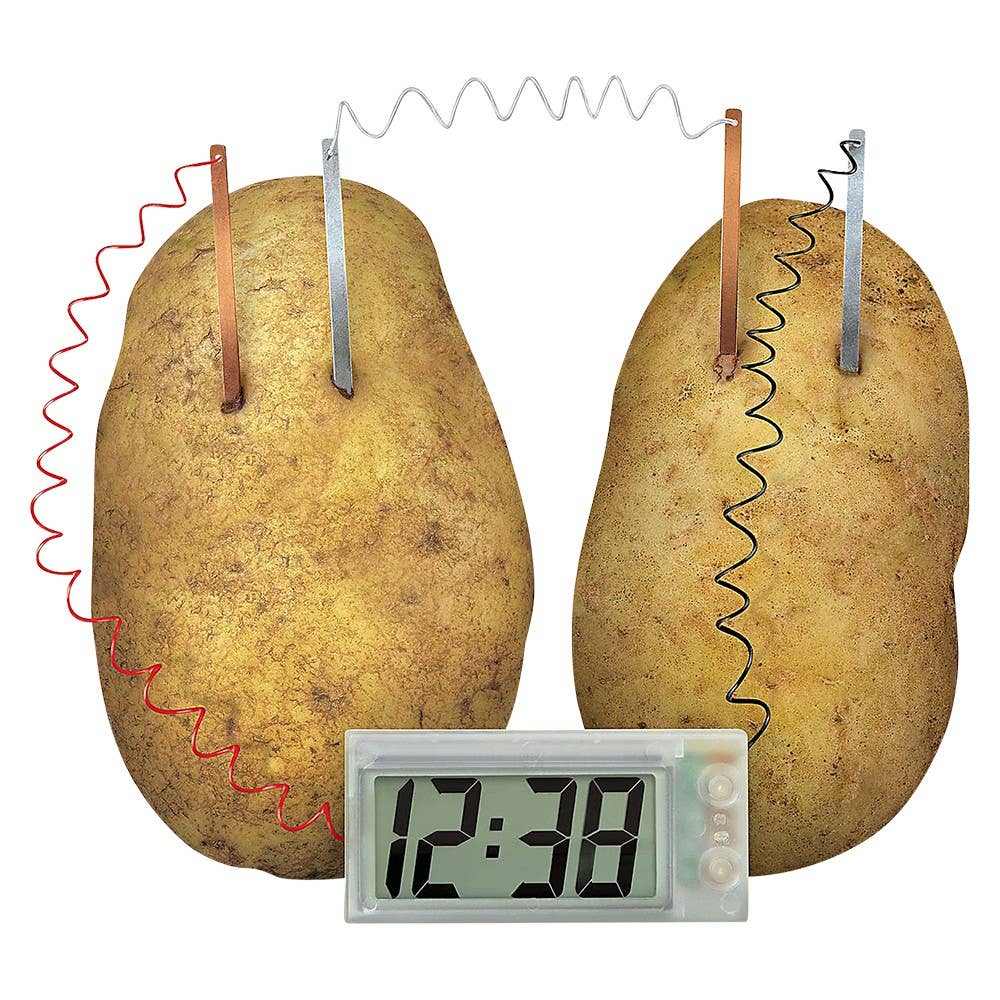 Digital clock powered by two potatoes connected with metal electrodes and wires, demonstrating potato clock experiment for alternative energy learning.