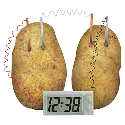 Digital clock powered by two potatoes connected with metal electrodes and wires, demonstrating potato clock experiment for alternative energy learning.