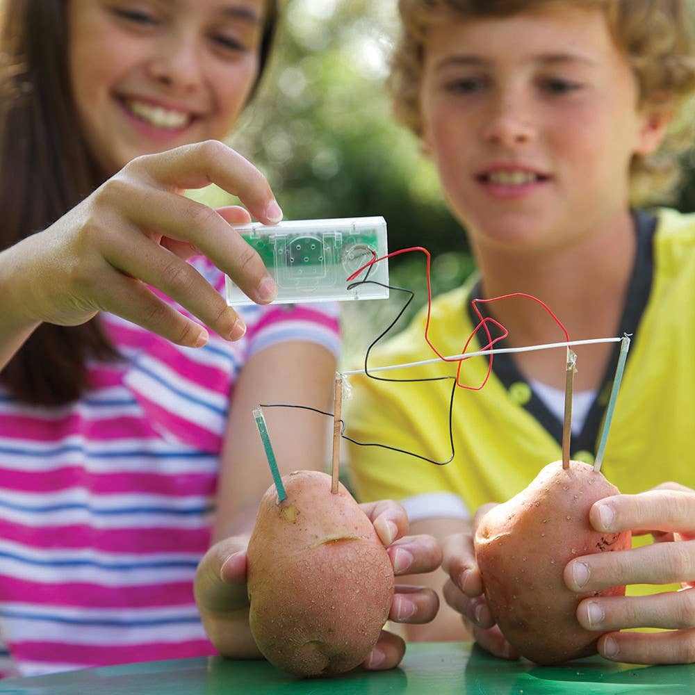 Children experimenting with a potato clock powered by potatoes and wires to demonstrate energy without batteries