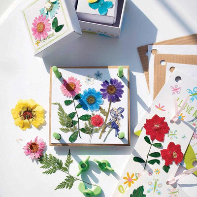 Pressed flower art craft kit with colorful pressed flowers, leaves, and materials for creating trinket boxes, greeting cards, and bookmarks.