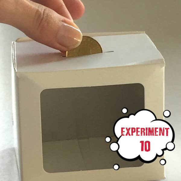 Einstein Science Lab - Optical Illusions