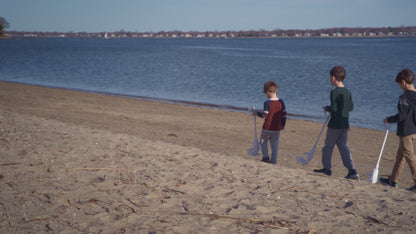 The Metal Detector